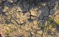 Cracked soil during the dry hot season Royalty Free Stock Photo