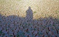 Cracked soil in the dry season in Indonesia