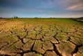 Cracked soil because of dry weather