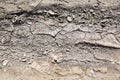 Cracked soil ground ,desert cracks, Dry soil Arid,drought land. Caused by global warming and deforestation Royalty Free Stock Photo