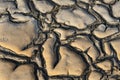 Cracked soil in the sun. Desert. Drought. Saline Royalty Free Stock Photo