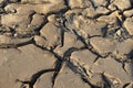 Cracked soil in the sun. Desert. Drought. Saline Royalty Free Stock Photo