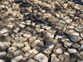 Cracked soil surface from drought