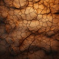 Cracked soil texture. Royalty Free Stock Photo