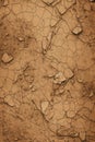 Cracked soil texture. Royalty Free Stock Photo