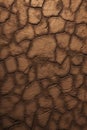 Cracked soil texture. Royalty Free Stock Photo