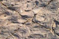 Cracked stone texture Royalty Free Stock Photo