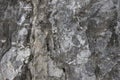 Cracked stone texture background. Distressed natural surface. Ecologic design template. Volcanic rock cracked surface Royalty Free Stock Photo