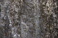 Cracked stone texture background. Distressed natural surface. Natural design template. Volcanic rock cracked surface Royalty Free Stock Photo