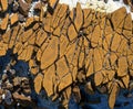 Cracked stone texture in the badlands in North Dakota, USA