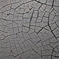 1629 Cracked Stone Texture: A textured and weathered background featuring a cracked stone texture with weathered patterns, addin