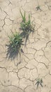 Cracked summer soil, parched and weathered, longing for life giving rain
