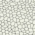 Monochrome craquelure seamless pattern.