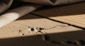 Cracked surface with visible texture and shadow contrasts. Light tan fabric drapes over the top Royalty Free Stock Photo