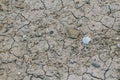 Cracked textured dry earth background. Closeup pattern. Royalty Free Stock Photo