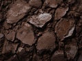 Cracked and textured soil surface