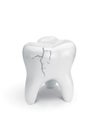 Cracked tooth on white background.