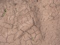 Cracked and very dry land, background Royalty Free Stock Photo