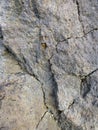 Cracked volcanic rock background. Surface of fissured quartzite stone. Web banner for your design. Cracked lava textured ground Royalty Free Stock Photo