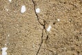 Cracked Wall Paint Floor Closeup Retro Detail Stone