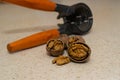 Cracked wallnuts with nut cracker in the background Royalty Free Stock Photo