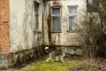 cracked walls with splices in old concrete building