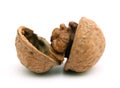 Cracked walnut. Royalty Free Stock Photo