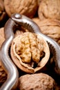 Cracked walnut close up inside silver nutcracker Royalty Free Stock Photo