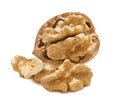 Cracked walnut nut isolated on white background