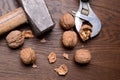 Cracked walnuts Royalty Free Stock Photo