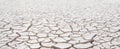 Cracked white clay, dried lakebed surface texture. Panorama with diminishing perspective