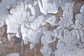 Cracked white paint, plaster surface on wooden wall Royalty Free Stock Photo