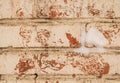 Cracked white plaster on old brickwork, close-up, grunge brick wall with space for text Royalty Free Stock Photo