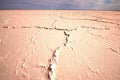 Cracked white surface of the Great Salt Lake Hart in central Australia