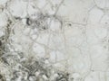 Cracked White Wall with Mold Stains Royalty Free Stock Photo