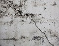 Cracked whitewashed wall with rich and various texture