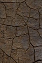 Cracked wood texture background Royalty Free Stock Photo