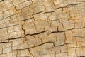 Cracked Wooden Texture Running Vertically Across The Frame Royalty Free Stock Photo