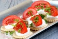 Cracker with mozzarella, tomato quarters Royalty Free Stock Photo