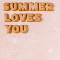 Crackers Arranged as a Phrase Summer Loves You Royalty Free Stock Photo