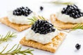 crackers with cream cheese and black caviar, white backgroud. Generative AI.