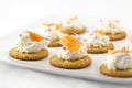 Crackers with Cream Cheese and Smoked Salmon Royalty Free Stock Photo