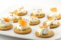 Crackers with Cream Cheese and Smoked Salmon Royalty Free Stock Photo