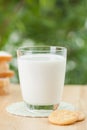 Crackers and milk glass on wooden table with green summer background