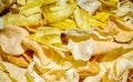 Crackers, plantain and popadoms Royalty Free Stock Photo