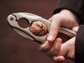 Cracking the Nut Royalty Free Stock Photo