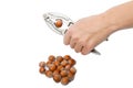 Cracking the Nut Royalty Free Stock Photo