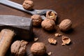 Cracking nuts Royalty Free Stock Photo