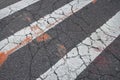 Cracking tarmac blacktop crosswalk with white line orange city paint markings