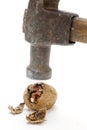 Cracking a Walnut with Hammer Royalty Free Stock Photo